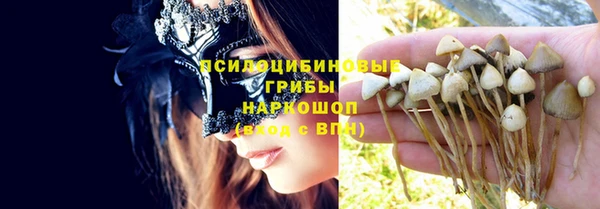 эйфоретик Зерноград