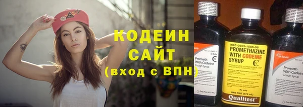 дживик Иннополис