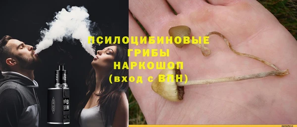 дживик Иннополис