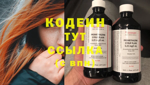 амф Инта