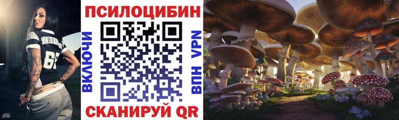 Купить  Нягань  Псилоцибиновые грибы Cubensis 